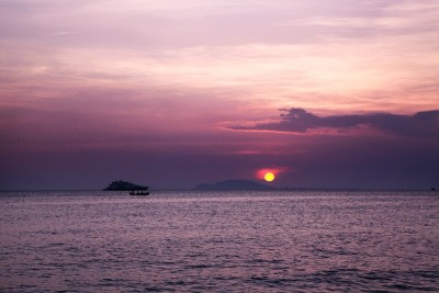 秋海共潮生