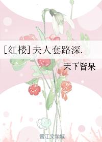 [紅樓]夫人套路深.